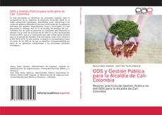 ODS y Gestión Pública para la Alcaldía de Cali- Colombia的封面