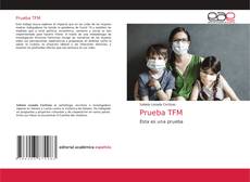 Bookcover of Prueba TFM
