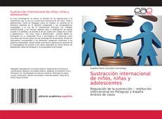 Bookcover of Sustracción internacional de niños, niñas y adolescentes