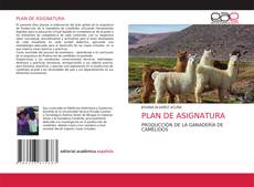 Bookcover of PLAN DE ASIGNATURA