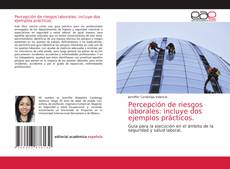 Bookcover of Percepción de riesgos laborales: incluye dos ejemplos prácticos.