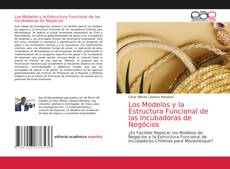 Capa do livro de Los Modelos y la Estructura Funcional de las Incubadoras de Negócios 