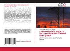 Capa do livro de Caracterización Espacial de la Declinación Forestal del Oyamel 
