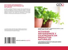 Copertina di ACTIVIDAD ANTIOXIDANTE Y CICATRIZANTE EN PRODUCTOS NATURALES