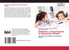 Didáctica y Organización en Educación Infantil kitap kapağı