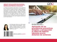 Bookcover of Aplicación de las providencias preventivas dirigidas a salvaguardar el cobro de haberes laborales previo dictamen de sentencia