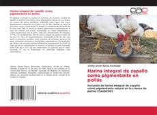 Harina integral de zapallo como pigmentante en pollos kitap kapağı