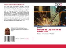 Bookcover of Índices de Capacidad de Producción