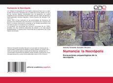 Portada del libro de Numancia: la Necrópolis