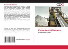 Capa do livro de Flotación de Minerales 