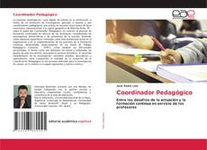 Coordinador Pedagógico的封面