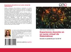 Bookcover of Experiencia docente en un curso virtual de Matemáticas