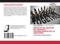 IMPACTO DE EQUIPOS DE TRABAJO CONSOLIDADOS EN LA INDUSTRIA kitap kapağı
