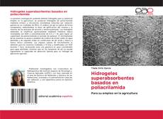 Hidrogeles superabsorbentes basados en poliacrilamida的封面