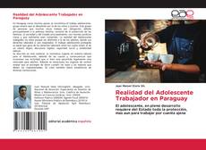 Bookcover of Realidad del Adolescente Trabajador en Paraguay