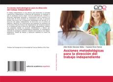 Acciones metodológicas para la dirección del trabajo independiente的封面