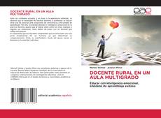 Bookcover of DOCENTE RURAL EN UN AULA MULTIGRADO