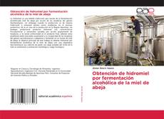 Bookcover of Obtención de hidromiel por fermentación alcohólica de la miel de abeja