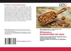 Capa do livro de Eficiencia y productividad del agua 