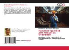 Bookcover of Manual de Seguridad para Trabajos en Electricidad