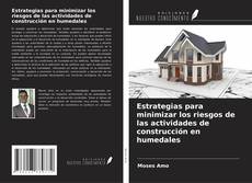 Copertina di Estrategias para minimizar los riesgos de las actividades de construcción en humedales