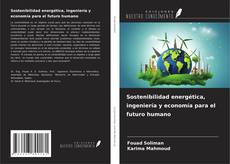 Copertina di Sostenibilidad energética, ingeniería y economía para el futuro humano