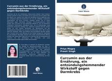 Borítókép a  Curcumin aus der Ernährung, ein entzündungshemmender Wirkstoff gegen Darmkrebs - hoz