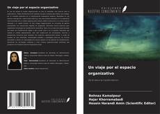 Copertina di Un viaje por el espacio organizativo