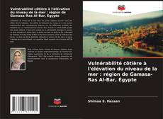 Vulnérabilité côtière à l'élévation du niveau de la mer : région de Gamasa-Ras Al-Bar, Égypte的封面