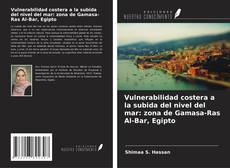 Copertina di Vulnerabilidad costera a la subida del nivel del mar: zona de Gamasa-Ras Al-Bar, Egipto