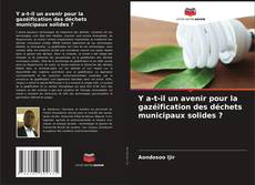 Y a-t-il un avenir pour la gazéification des déchets municipaux solides ?的封面