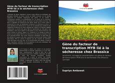 Gène du facteur de transcription MYB lié à la sécheresse chez Brassica kitap kapağı