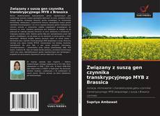 Związany z suszą gen czynnika transkrypcyjnego MYB z Brassica的封面