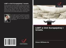 Buchcover von LGBT w Unii Europejskiej i Izraelu