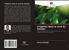 Buchcover von Irrigation dans le nord du Soudan
