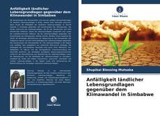 Capa do livro de Anfälligkeit ländlicher Lebensgrundlagen gegenüber dem Klimawandel in Simbabwe 