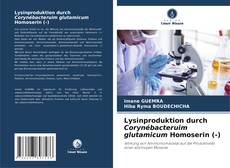 Capa do livro de Lysinproduktion durch Corynébacteruim glutamicum Homoserin (-) 