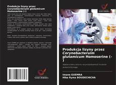 Buchcover von Produkcja lizyny przez Corynebacteruim glutamicum Homoserine (-)
