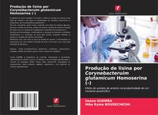 Buchcover von Produção de lisina por Corynebacteruim glutamicum Homoserina (-)