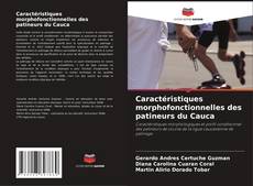Couverture de Caractéristiques morphofonctionnelles des patineurs du Cauca