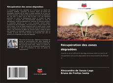 Buchcover von Récupération des zones dégradées