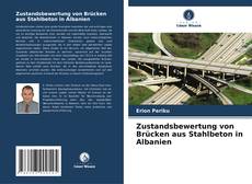 Bookcover of Zustandsbewertung von Brücken aus Stahlbeton in Albanien