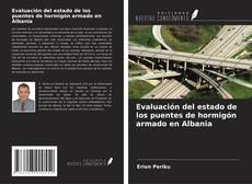 Evaluación del estado de los puentes de hormigón armado en Albania kitap kapağı