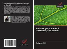 Capa do livro de Zielona gospodarka i urbanizacja w Zambii 