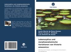 Borítókép a  Lebenszyklus und morphoanatomische Variationen von Victoria amazonica: - hoz