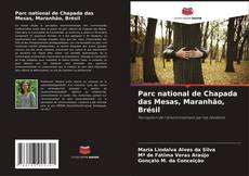 Parc national de Chapada das Mesas, Maranhão, Brésil的封面