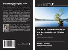 Capa do livro de Efectos socioambientales de la cría de camarones en Alagoas, Brasil 