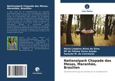 Copertina di Nationalpark Chapada das Mesas, Maranhão, Brasilien