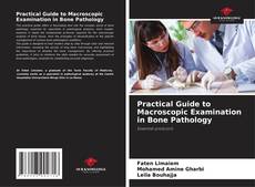 Practical Guide to Macroscopic Examination in Bone Pathology的封面
