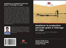 Améliorer la production piscicole grâce à l'élevage en cage kitap kapağı